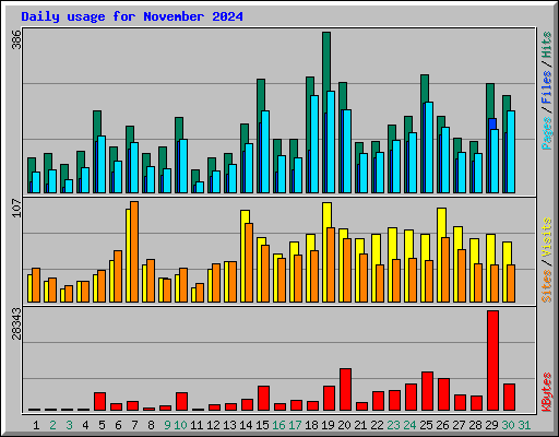 Daily usage for November 2024