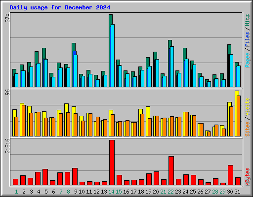Daily usage for December 2024