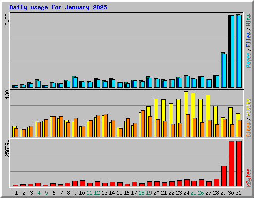 Daily usage for January 2025