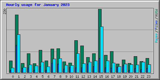 Hourly usage for January 2023