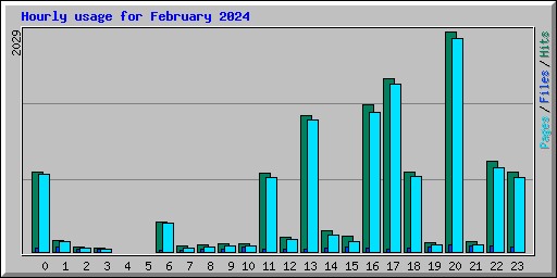 Hourly usage for February 2024