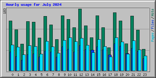 Hourly usage for July 2024
