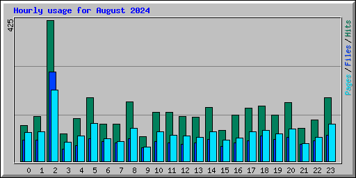 Hourly usage for August 2024