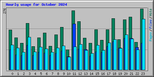 Hourly usage for October 2024