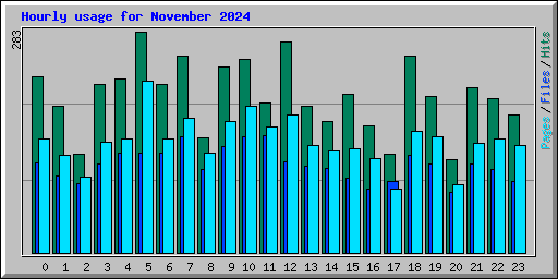 Hourly usage for November 2024