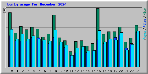 Hourly usage for December 2024