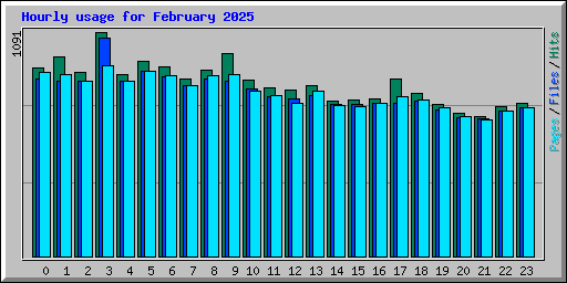 Hourly usage for February 2025