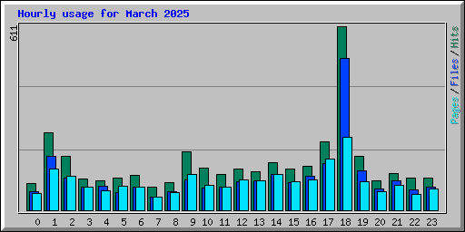 Hourly usage for March 2025