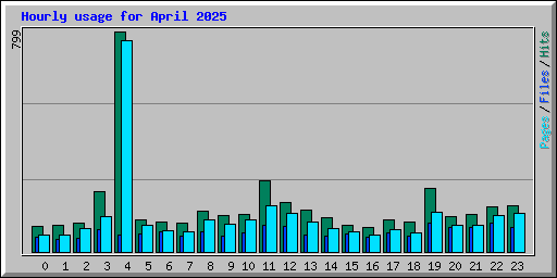 Hourly usage for April 2025