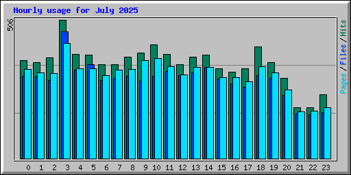 Hourly usage for July 2025