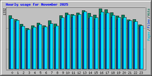 Hourly usage for November 2025
