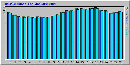 Hourly usage for January 2026