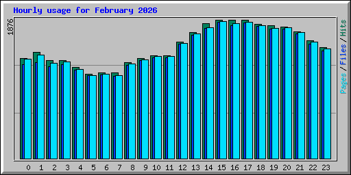 Hourly usage for February 2026